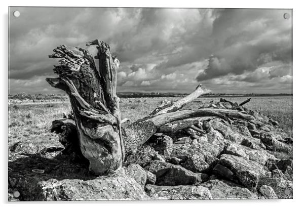 The Driftwood Dragon on the Gwent Levels Newport Acrylic by Nick Jenkins