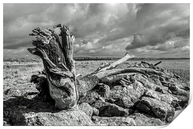The Driftwood Dragon on the Gwent Levels Newport Print by Nick Jenkins