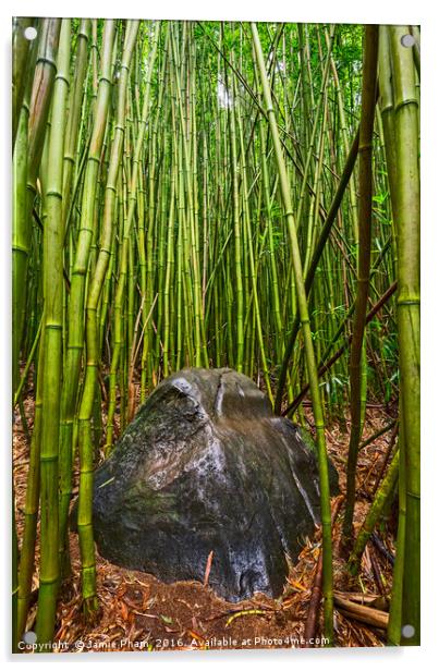 The magical bamboo forest of Maui  Acrylic by Jamie Pham