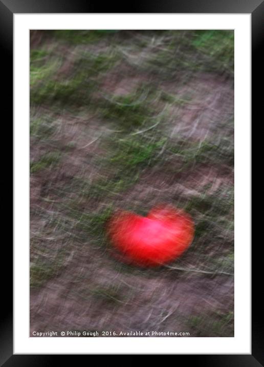 Natures Fruit Framed Mounted Print by Philip Gough
