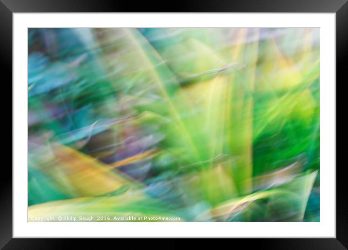Grass Shades Framed Mounted Print by Philip Gough