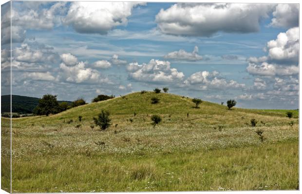 Herd of clouds on the sky mysterious mound Canvas Print by Adrian Bud