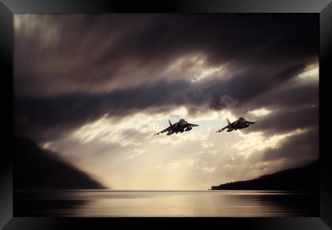 Low Level Harriers Framed Print by J Biggadike