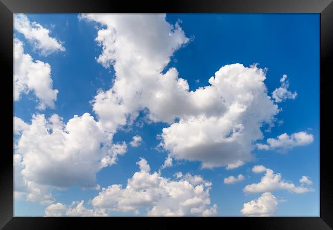 White Cumulus Clouds On Blue Sky Framed Print by Radu Bercan