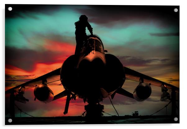 Sea Harrier Sillhouette Acrylic by J Biggadike