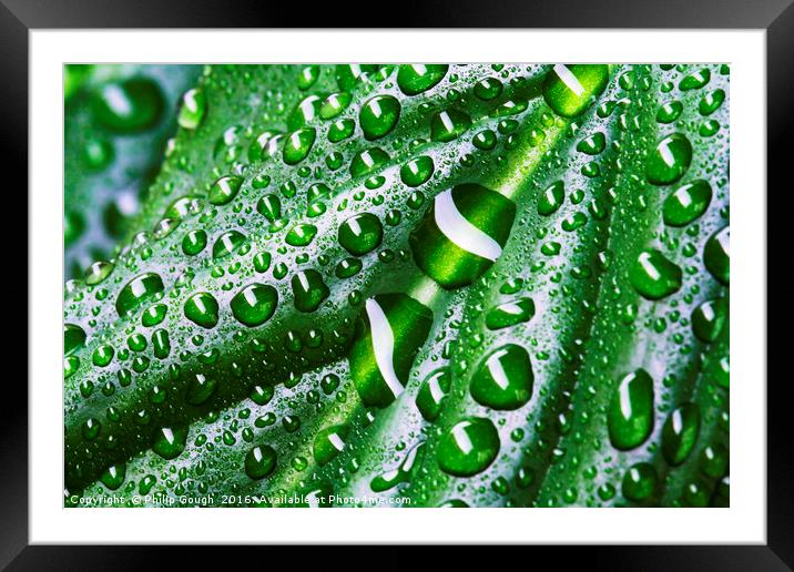 Natures Water Framed Mounted Print by Philip Gough
