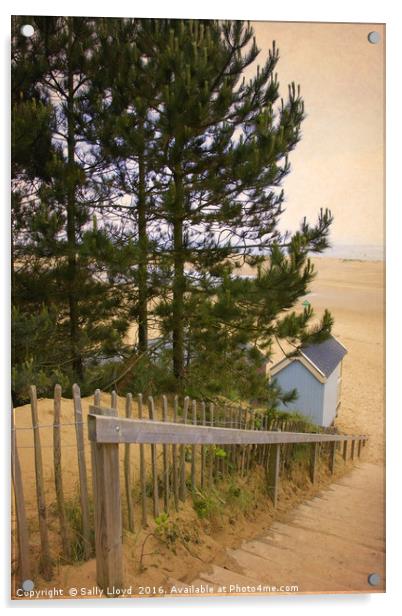 Single Blue Beach Hut Acrylic by Sally Lloyd