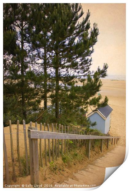 Single Blue Beach Hut Print by Sally Lloyd