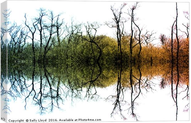 Colour Tree Symmetry Canvas Print by Sally Lloyd