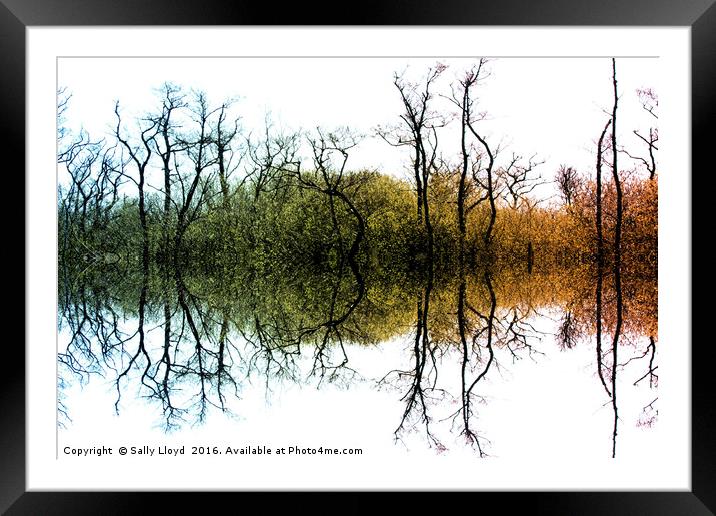 Colour Tree Symmetry Framed Mounted Print by Sally Lloyd