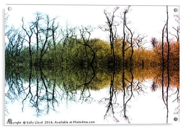 Colour Tree Symmetry Acrylic by Sally Lloyd