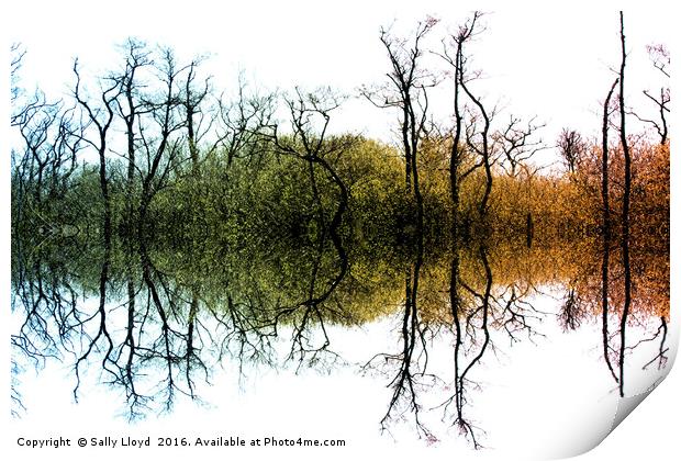 Colour Tree Symmetry Print by Sally Lloyd