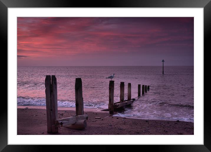   Groyne 1                                   Framed Mounted Print by kevin wise