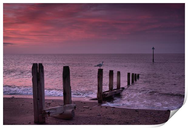   Groyne 1                                   Print by kevin wise