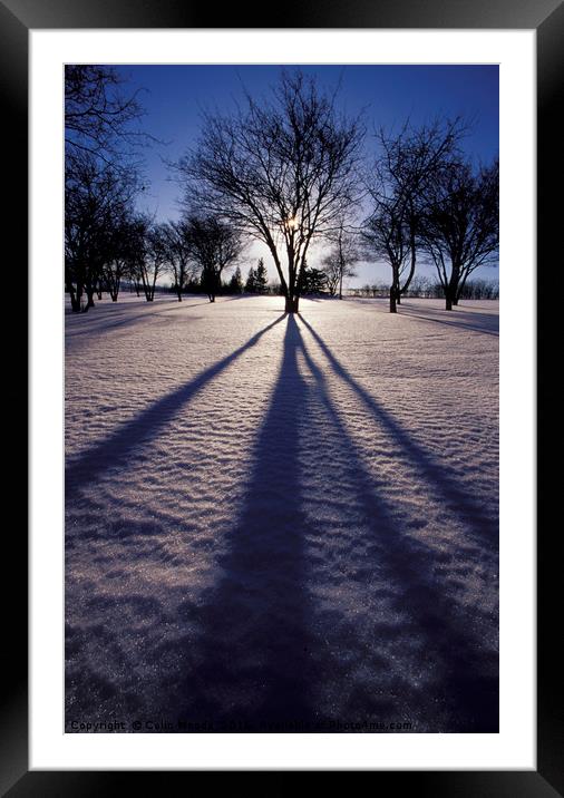 Winter shadows Framed Mounted Print by Colin Woods