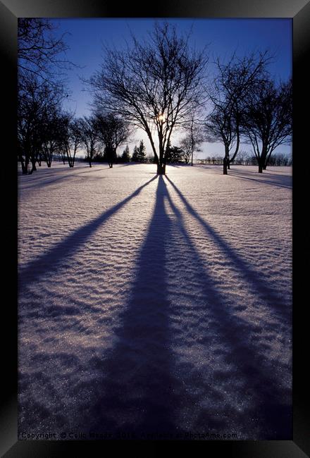 Winter shadows Framed Print by Colin Woods