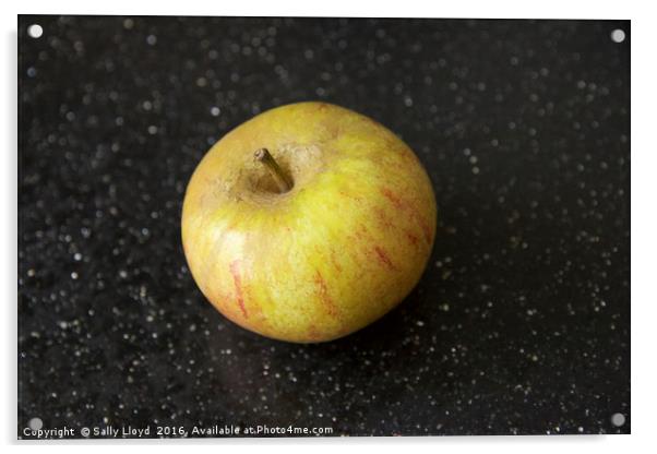Windfall apple Acrylic by Sally Lloyd