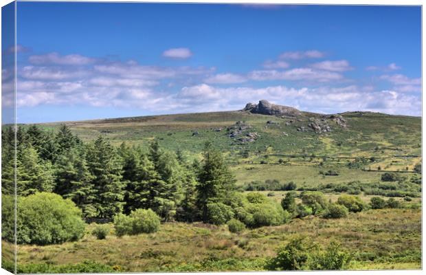 Saddle Tor                                     Canvas Print by kevin wise