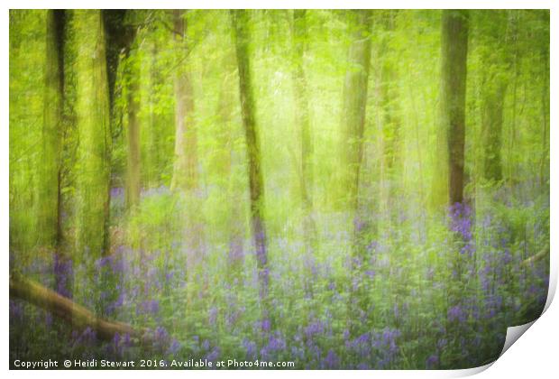 An Abstract Bluebell Wood Print by Heidi Stewart