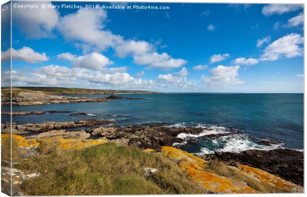 Prussia Cove, Cornwall Canvas Print by Mary Fletcher
