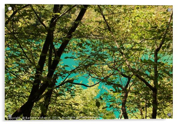Trees and lake in Plitvice National Park Acrylic by Barbara Vizhanyo