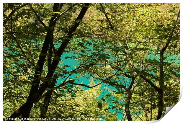 Trees and lake in Plitvice National Park Print by Barbara Vizhanyo