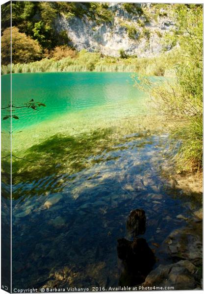 Beautiful lake at Plitvice National Park, Croatia Canvas Print by Barbara Vizhanyo
