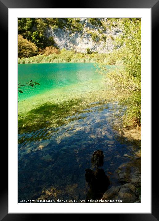 Beautiful lake at Plitvice National Park, Croatia Framed Mounted Print by Barbara Vizhanyo