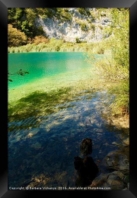 Beautiful lake at Plitvice National Park, Croatia Framed Print by Barbara Vizhanyo