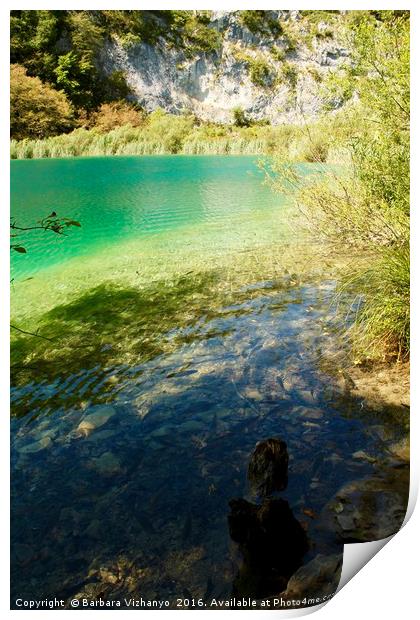 Beautiful lake at Plitvice National Park, Croatia Print by Barbara Vizhanyo
