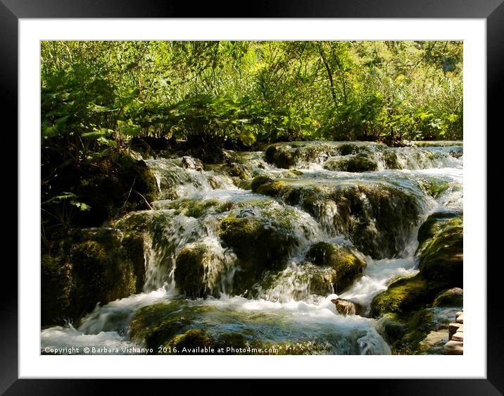 Lovely water cascade at Plitvice National Park  Framed Mounted Print by Barbara Vizhanyo