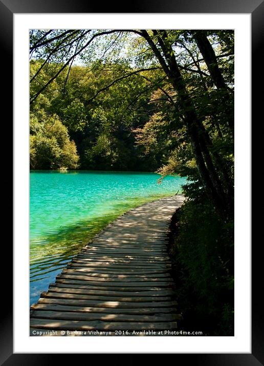 Beautiful wooden road beside a lake in Plitvice Na Framed Mounted Print by Barbara Vizhanyo
