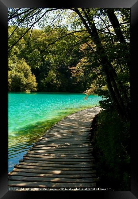 Beautiful wooden road beside a lake in Plitvice Na Framed Print by Barbara Vizhanyo
