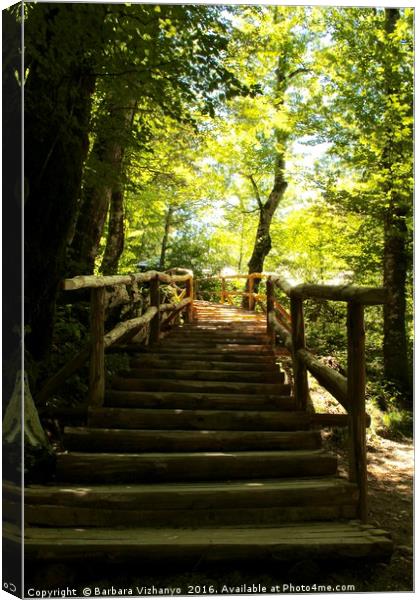 Wooden steps upwards in the forest - Plitvice Nati Canvas Print by Barbara Vizhanyo