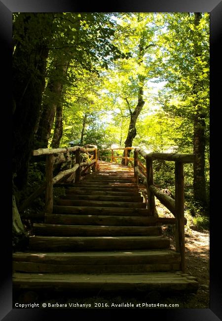 Wooden steps upwards in the forest - Plitvice Nati Framed Print by Barbara Vizhanyo