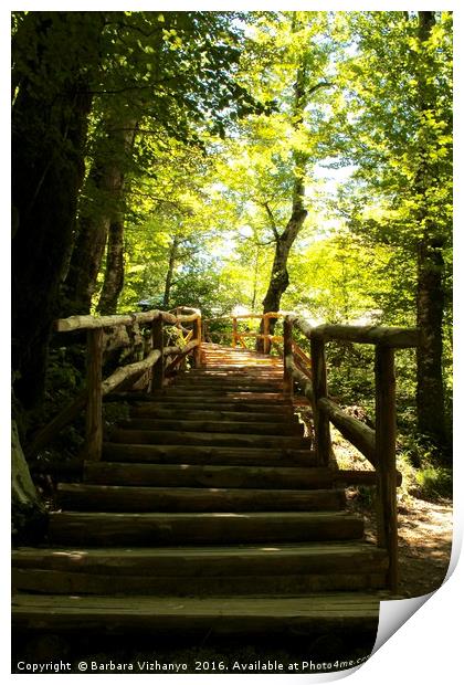 Wooden steps upwards in the forest - Plitvice Nati Print by Barbara Vizhanyo