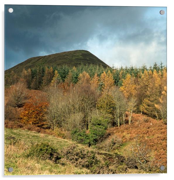Autumn in the Central Brecon Beacons at Torpantau  Acrylic by Nick Jenkins