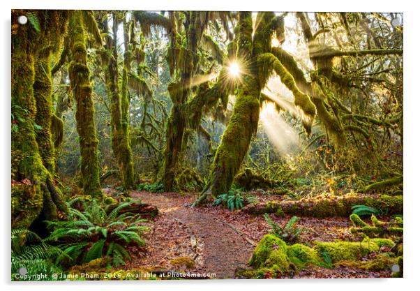 Hall of Mosses in the Hoh Rainforest. Acrylic by Jamie Pham