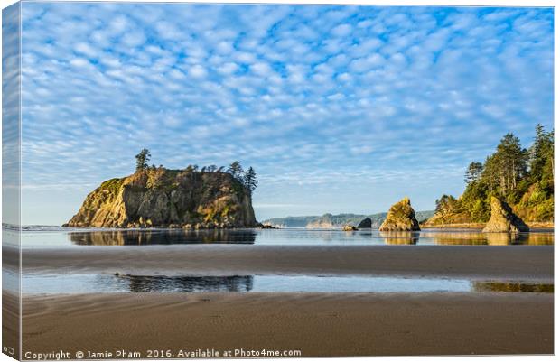 Ruby Beach in Olympic National Park located in Was Canvas Print by Jamie Pham