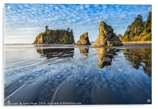 Ruby Beach in Olympic National Park located in Was Acrylic by Jamie Pham