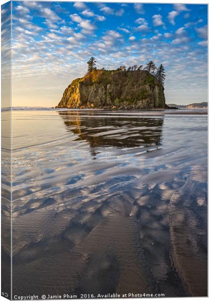 Ruby Beach in Olympic National Park located in Was Canvas Print by Jamie Pham