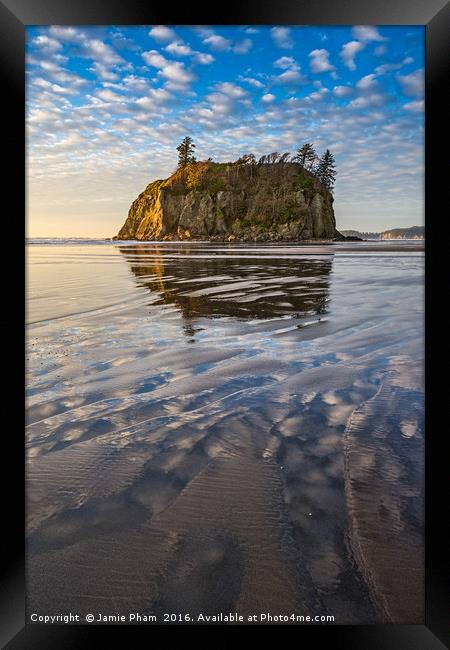 Ruby Beach in Olympic National Park located in Was Framed Print by Jamie Pham