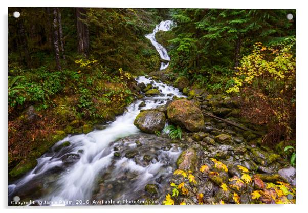 Beautiful Bunch Creek Falls in the Olympic Nationa Acrylic by Jamie Pham