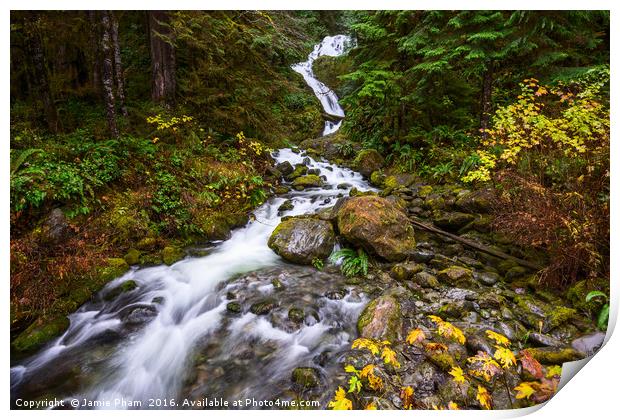 Beautiful Bunch Creek Falls in the Olympic Nationa Print by Jamie Pham
