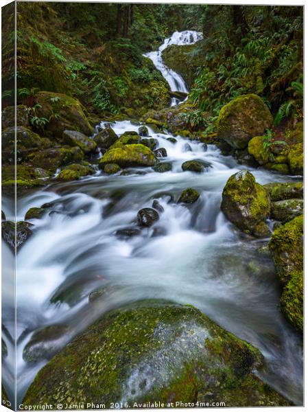 Beautiful Bunch Creek Falls in the Olympic Nationa Canvas Print by Jamie Pham