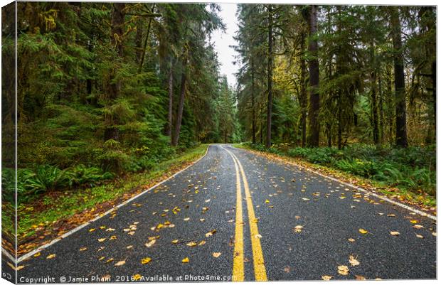 Empty road on the way to Hoh Rainforest in Washing Canvas Print by Jamie Pham