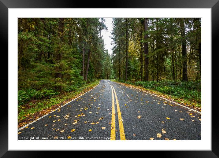 Empty road on the way to Hoh Rainforest in Washing Framed Mounted Print by Jamie Pham