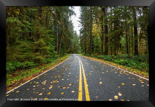 Empty road on the way to Hoh Rainforest in Washing Framed Print by Jamie Pham