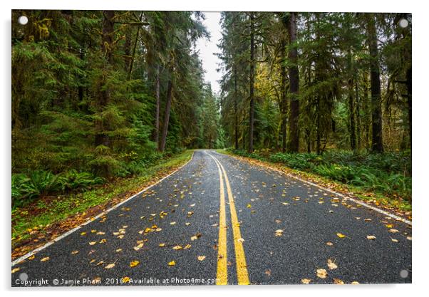 Empty road on the way to Hoh Rainforest in Washing Acrylic by Jamie Pham