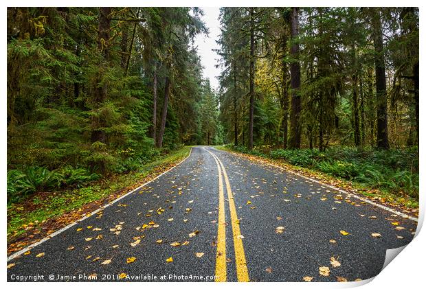 Empty road on the way to Hoh Rainforest in Washing Print by Jamie Pham